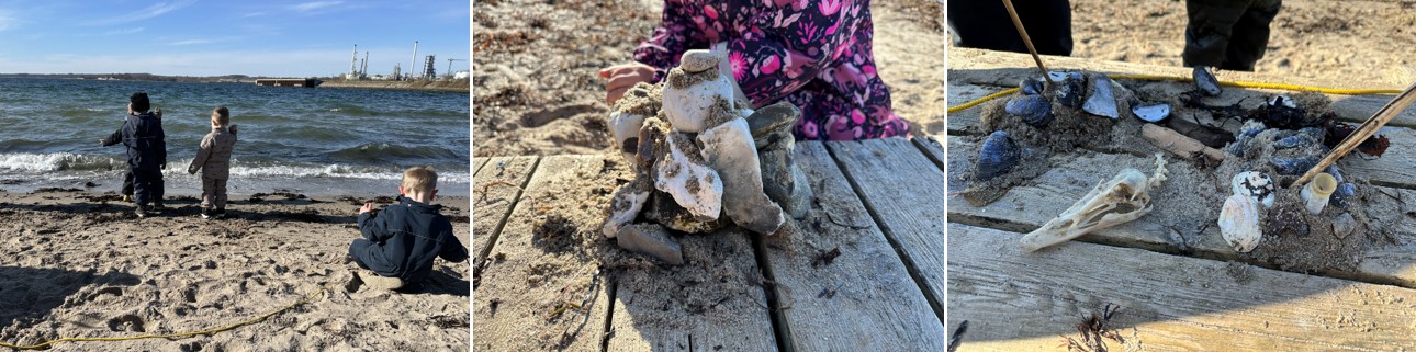 Børnehaven på stranden